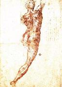 Michelangelo Buonarroti Study for a Nude china oil painting artist